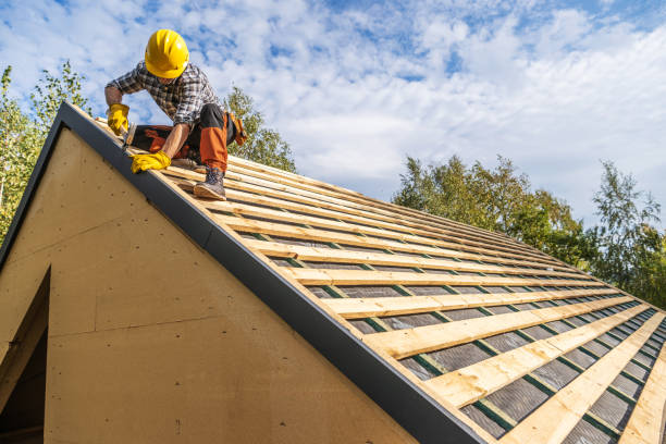 Roof Gutter Cleaning in Ivins, UT